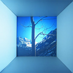 CD Cover